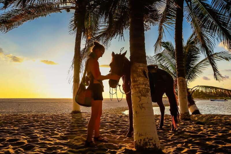 Sunset by Horse on the Beach - Key Points