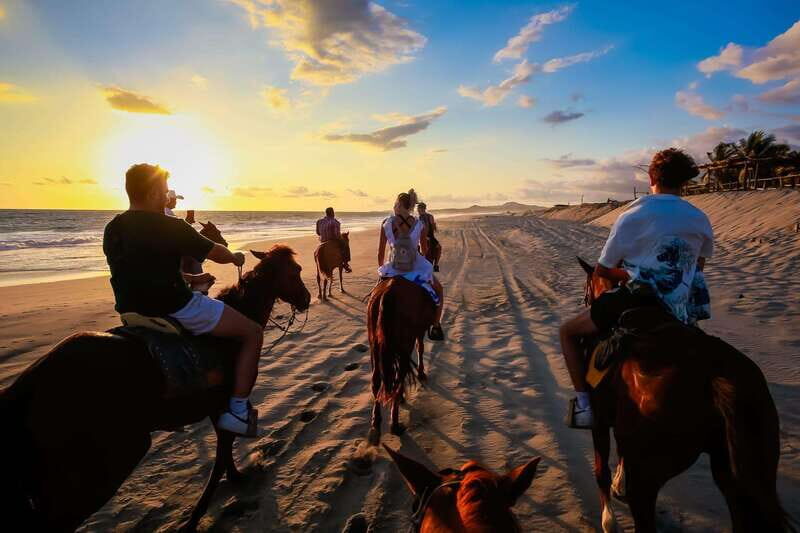 Sunset by Horse on the Beach - The Horses and Guides