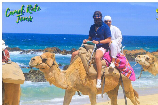 Sunset Camel Ride Tour - Authenticity and Value