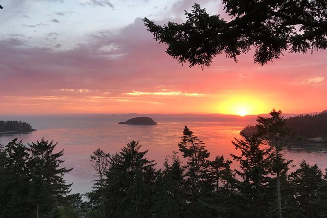 Sunset Canopy Climb on Lopez Island - Exploring the Sunset Canopy Climb on Lopez Island: A Detailed Look