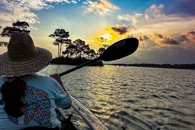 Sunset Clear Kayak Tour Destin Ft. Walton Beach - What to Expect from the Sunset Clear Kayak Tour