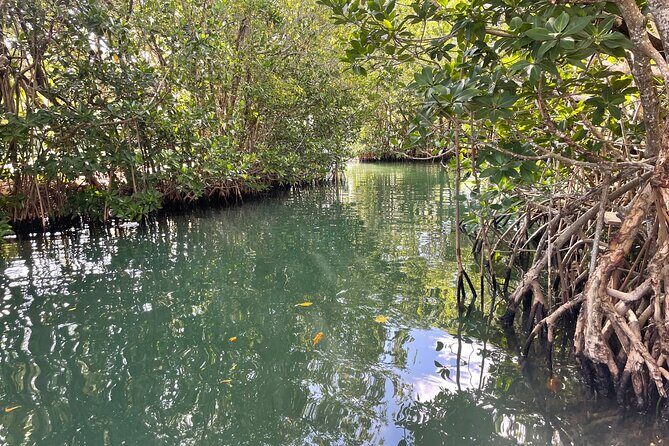 SUNSET CRUISE in Key Largo,FL. - Who Should Consider This Tour?