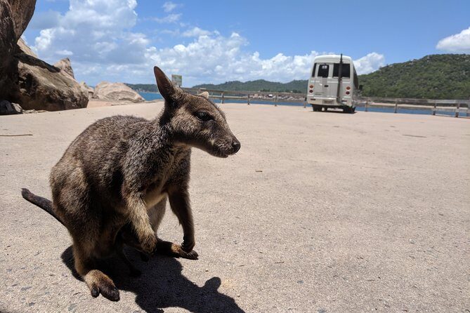 Sunset Cruise on Magnetic Island - The Experience in Detail