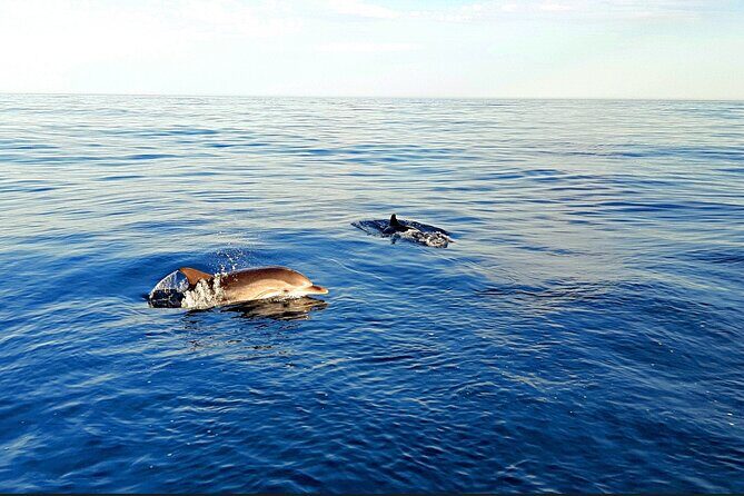 Sunset Cruise Taormina Private - Final Thoughts