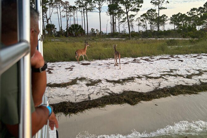 Sunset Cruise with Good Jibez Only in Panama City Beach - FAQs