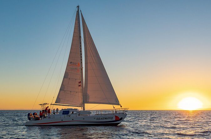 Sunset Cruise with the Whales from Anaeho'omalu Bay - Who Is This Tour Best For?
