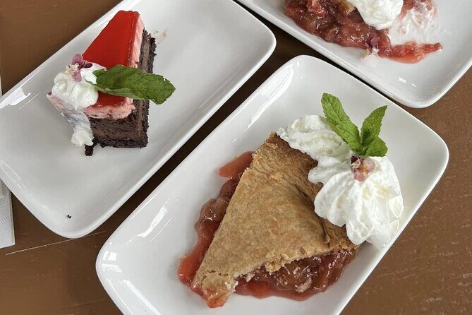 Sunset Dinner Cruise on North America's LARGEST Solar Boat! (6PM) - Who Should Consider This Tour?