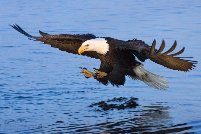 Sunset, Dolphin/Birding On A Private Guided Savannah Cruise - FAQs