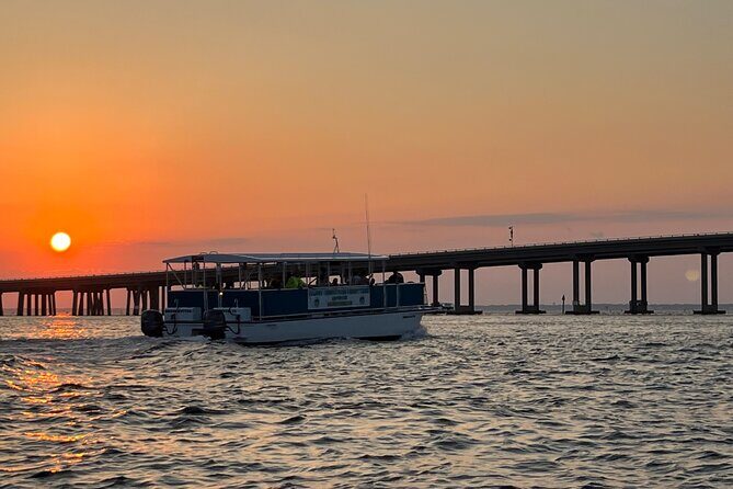 Sunset Dolphin Cruise - Who is this tour best suited for?