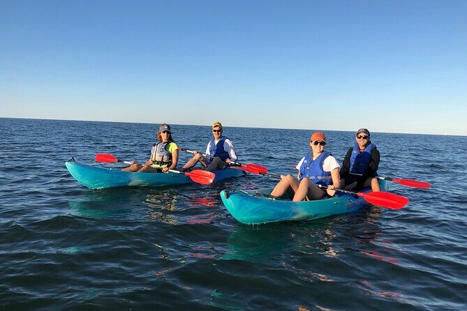 Sunset Dolphin Kayak Tours - The Bottom Line
