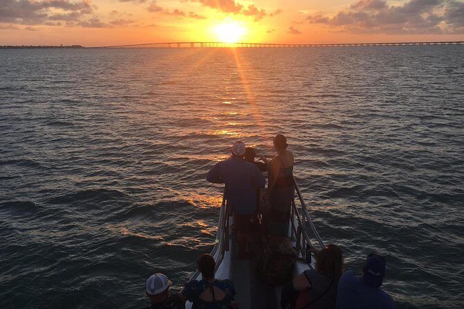 Sunset Dolphin Watch Tour - Key Points