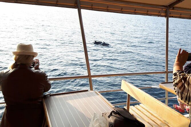 Sunset Dolphin Watching Boat Tour from Vrsar - Final Thoughts