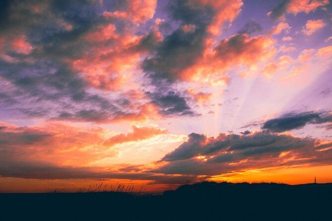 Sunset Dolphin Watching Cruise in Destin Harbor - What to Expect from the Sunset Dolphin Watching Cruise