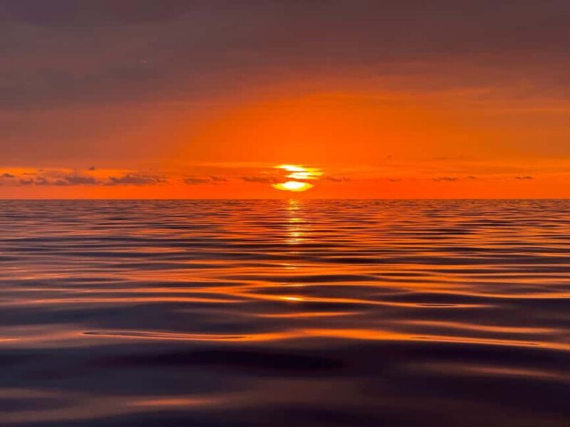 Sunset Dolphin Watching Tour on Hybrid Boat in Small Group - The Sum Up