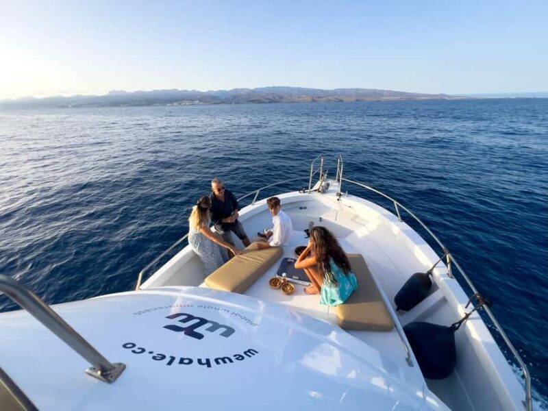 Sunset Dolphin Watching Tour on Hybrid Boat in Small Group - FAQs