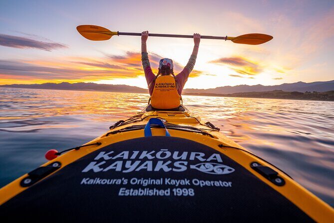 Sunset Evening Kayaking Tour - Kaikoura - What Is the Experience Really Like?