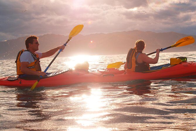 Sunset Evening Kayaking Tour - Kaikoura - What Do the Reviews Say?