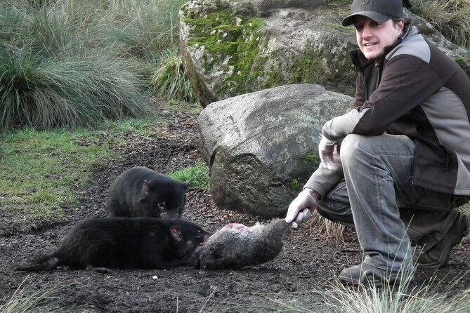 Sunset Experience - Exploring the Sunset Experience at Cradle Mountain’s Devils@Cradle