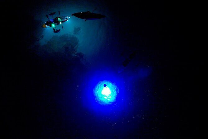 Sunset/Glow Clear Kayak Tour in Olowalu - What about the price?