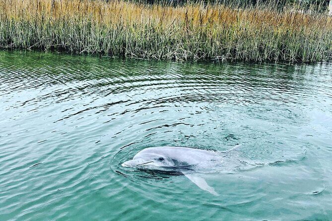 Sunset Guided Kayak Tour 90 Minutes - Who Will Love This Tour?