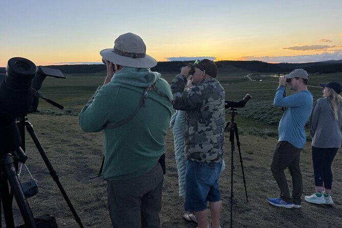 Sunset Hayden Valley Wildlife Safari | Catered Dinner | PRIVATE - Who This Tour Is Best For