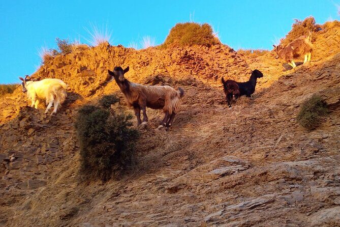 Sunset Jeep Tour in Crete - Final Thoughts: Who Should Consider This Tour?