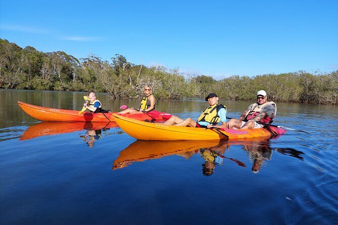 Sunset Kayak Eco Tour with Marine Scientist - An In-Depth Look at the Tour Experience