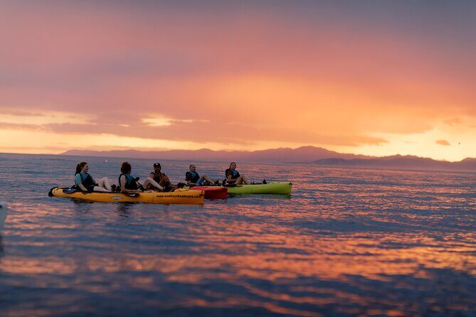 Sunset Kayak tour in Kaikoura - Why This Kayak Tour Stands Out