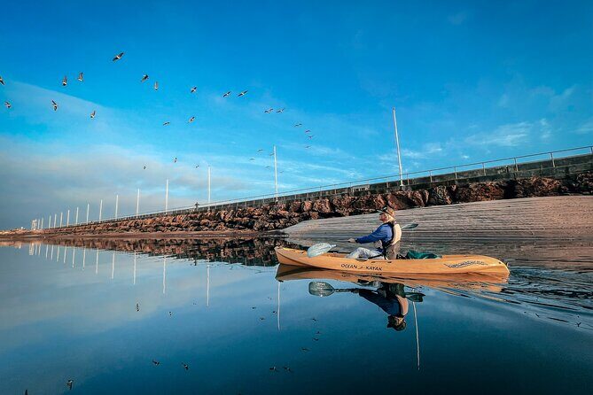 Sunset Kayak Tour in Santa Barbara Harbor (2 Hours) - The Scenic Journey and Wildlife Encounters