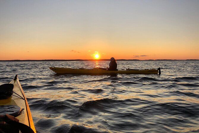Sunset Kayak Tour in the Stockholm Archipelago + Swedish Fika - Discovering the Stockholm Archipelago by Kayak