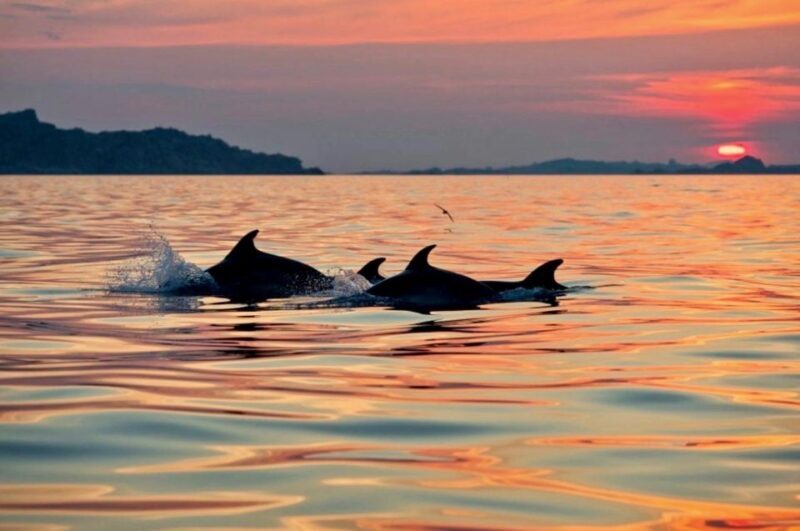 Sunset Kayak Tour + Snorkeling and Local Aperitif - Who Is This Tour Best For?