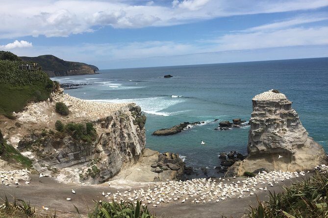 Sunset kayak tour to Rangitoto Island - Ready to Book?