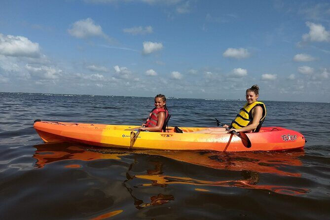 Sunset kayaking tour at Manatee Cove with Manatee & Dolphin sightings - The Experience in Detail