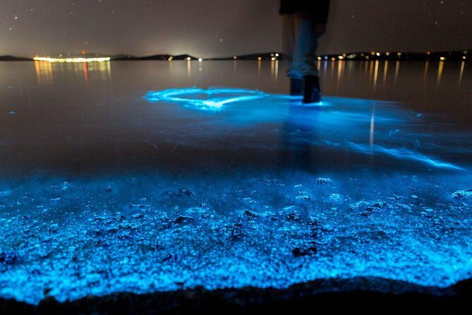 Sunset Kayaking w/ Florida Bioluminescence Combo Tour | Haulover canal - An Honest Look at the Experience