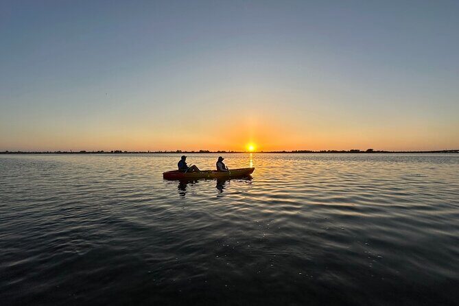 Sunset Kayaking with Dolphins - Who Will Love This Tour?