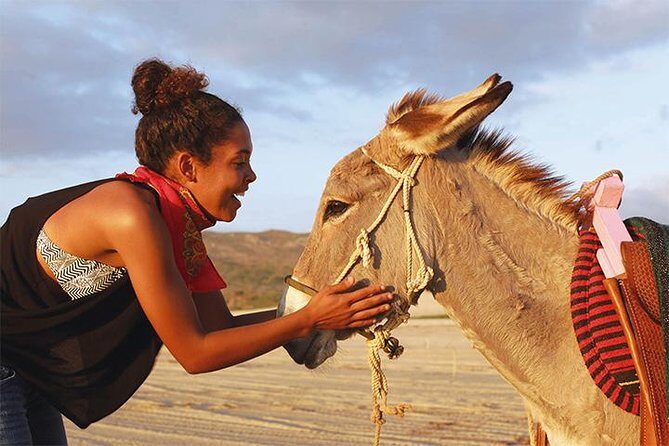 Sunset Pacific Donkey Hiking Tour - The Experience and Atmosphere