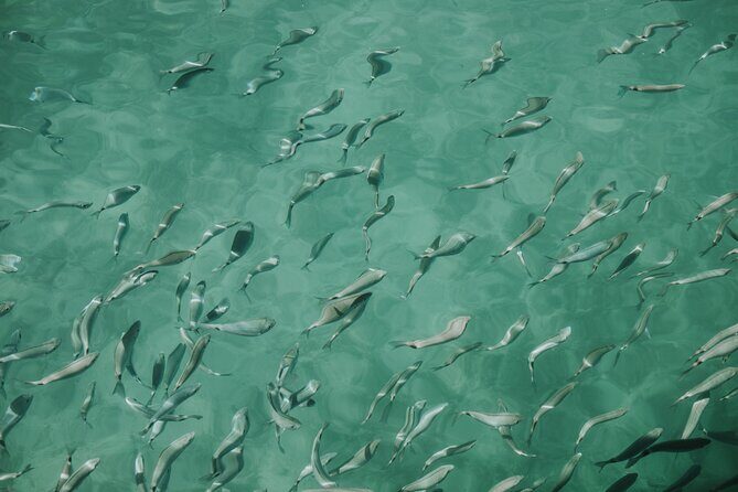 Sunset panorama & swimming with a fishes - The Experience in Detail