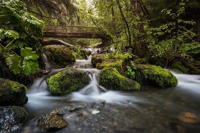 Sunset Photo Safari - What is the Sunset Photo Safari in Anchorage?