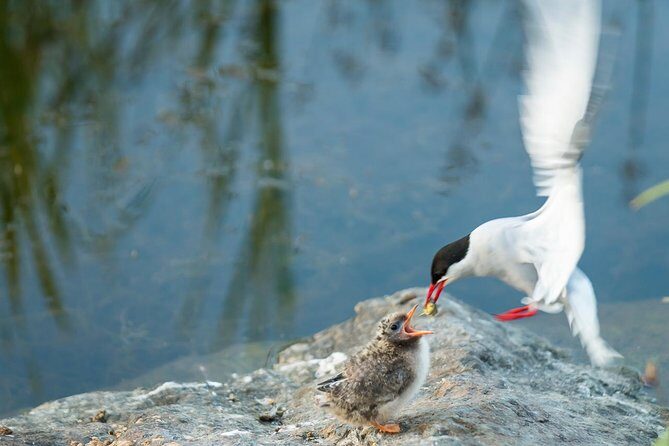 Sunset Photo Safari - What Are the Practical Details?
