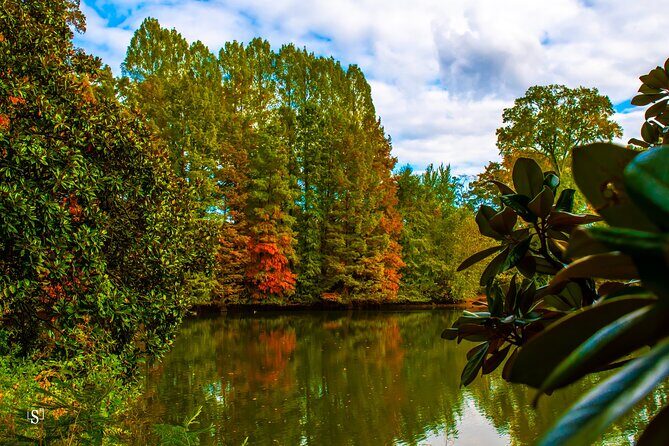 Sunset Photography Tour of Piedmont Park Atlanta - What’s Included & What You’ll Need to Consider