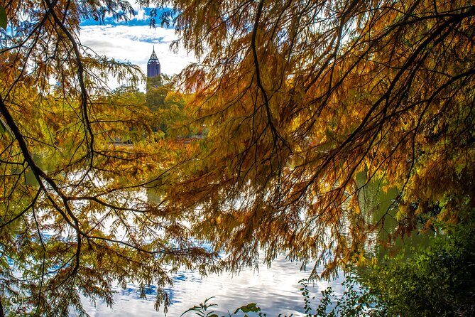 Sunset Photography Tour of Piedmont Park Atlanta - Real Traveler Insights & Expectations