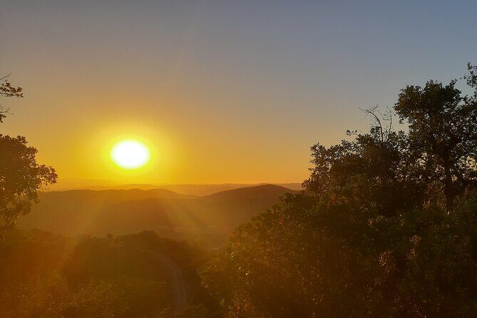 Sunset Safari 4H - What We Heard from Travelers