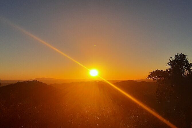 Sunset Safari 4H - Who Is This Tour Best For?