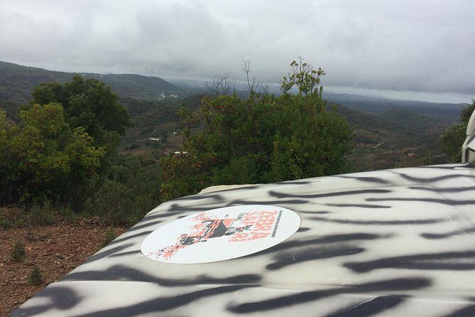 Sunset Safari - An In-Depth Look at the Sunset Safari Experience