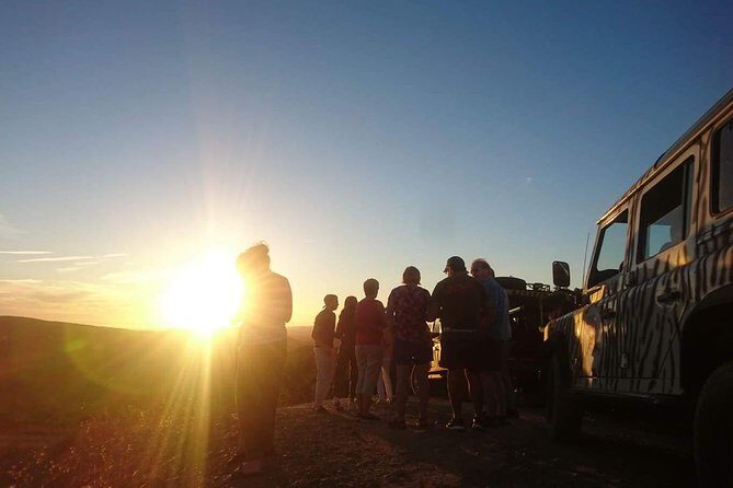 Sunset Safari - Final Thoughts: Is This Tour Right for You?
