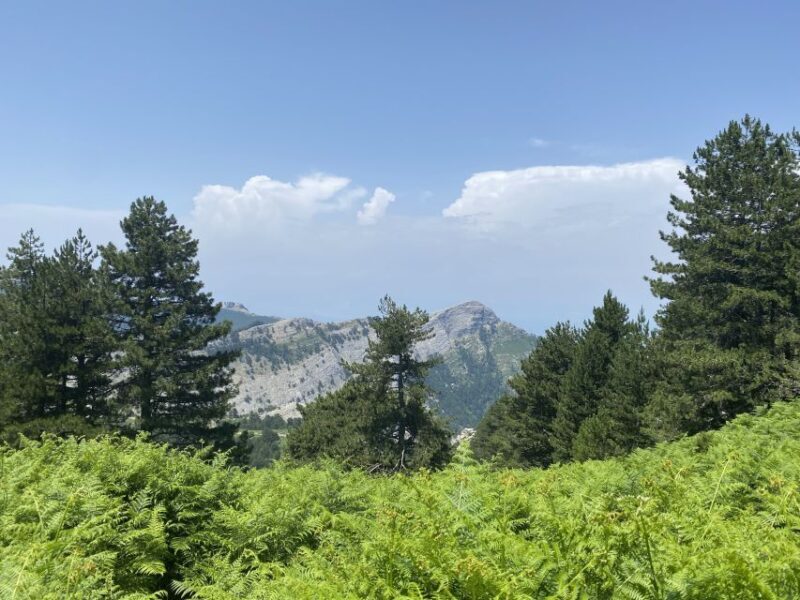 Sunset Safari in Thassos with free refill prosecco & fruits - Key Points