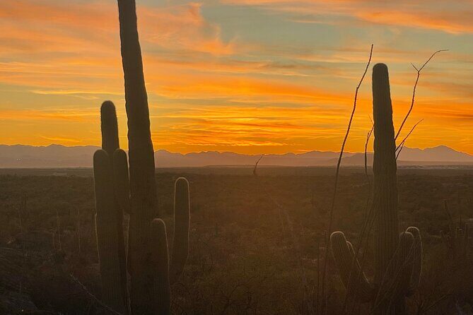 Sunset Saguaro National Park, East Guided E-Bike Tour - Frequently Asked Questions