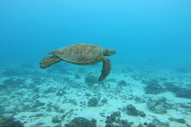 Sunset sailing - Weather and Cancellation Policy