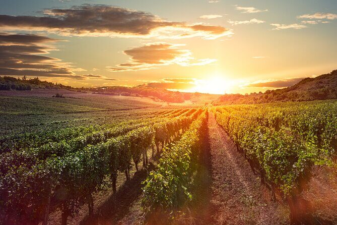Sunset Sip Wine Tour - The Experience: What Travelers Say