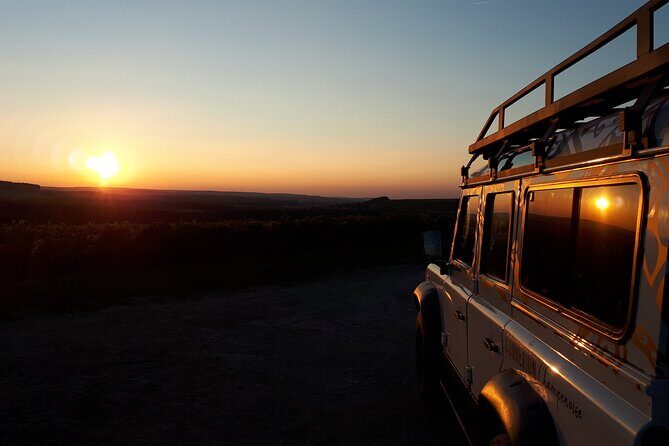 Sunset tasting sunset in the champagne vineyards - Key Points